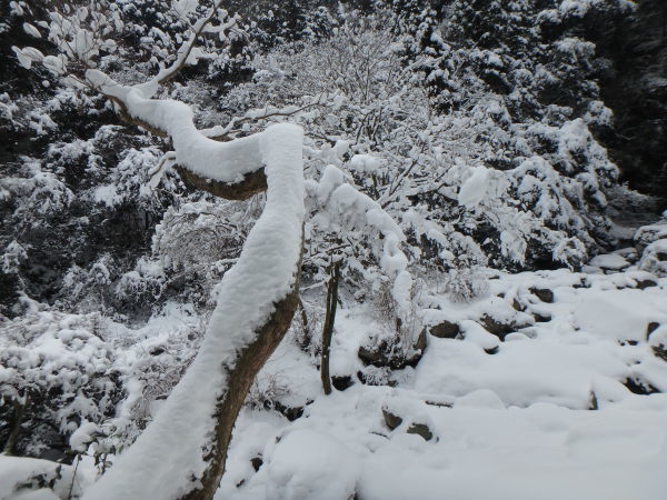 雪山登山のはずが_d0198313_21313965.jpg