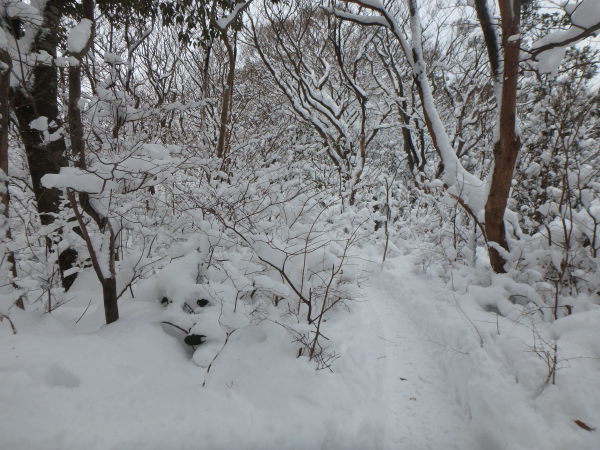 雪山登山のはずが_d0198313_21540917.jpg