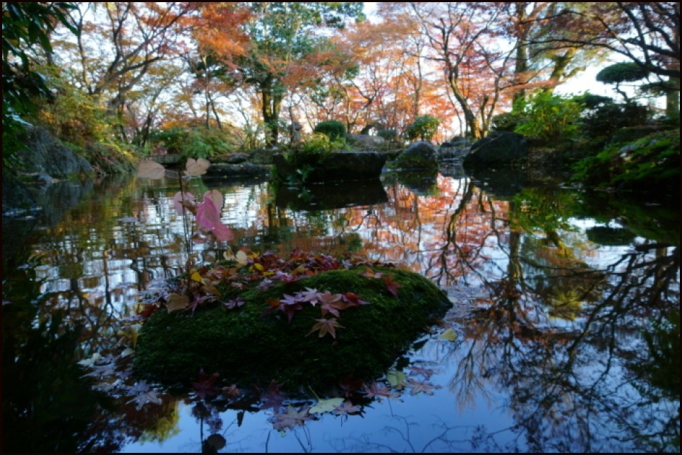 アサヒビール大山崎山荘美術館_e0177413_20385735.jpg