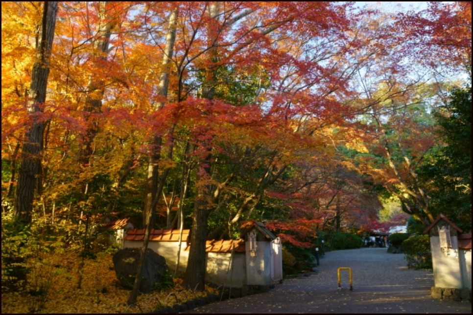 アサヒビール大山崎山荘美術館_e0177413_20393162.jpg