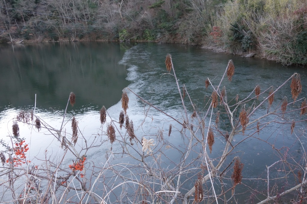 e0077517_13104439.jpeg