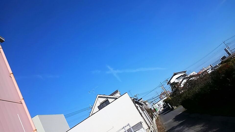 b0080718_18180744.jpg