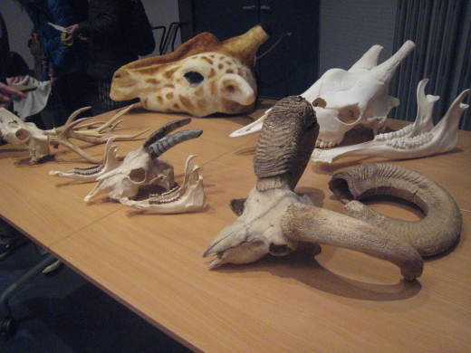 f0166824_20472650.jpg