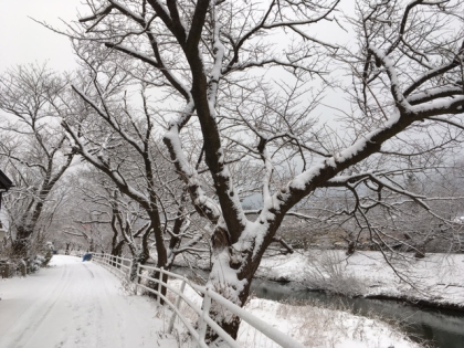 f0080631_205151.jpg
