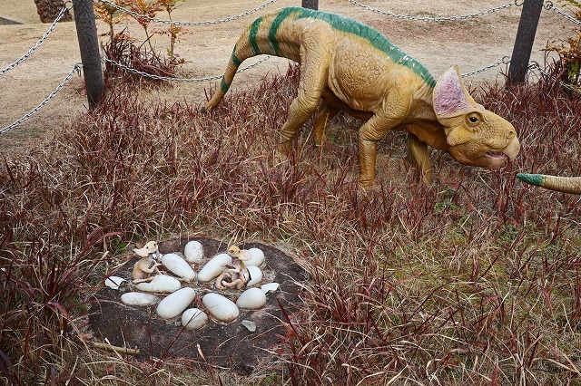 博物館 カブトガニ