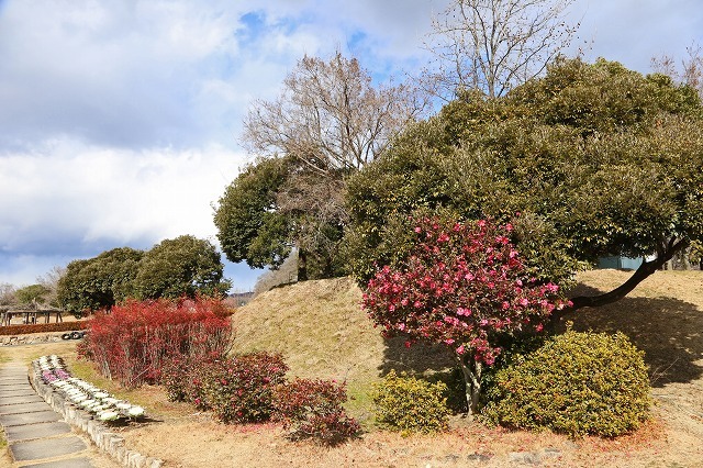 a0242438_21052147.jpg