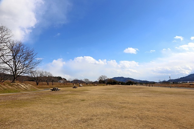a0242438_21070487.jpg