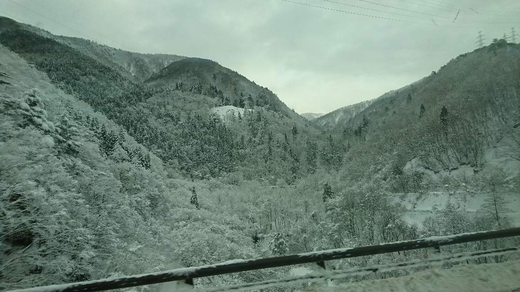 d0013739_22032599.jpg