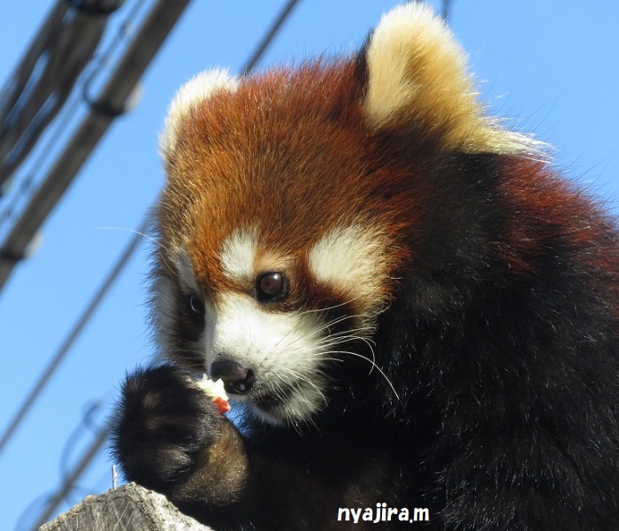 咲弥ちゃん（1月13日土曜日）_f0002743_19271736.jpg