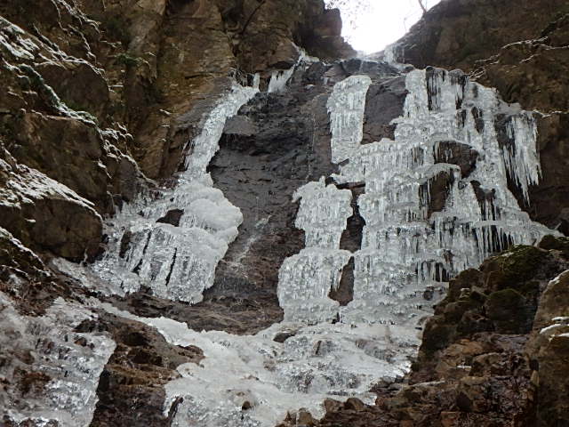 f0334143_9103195.jpg