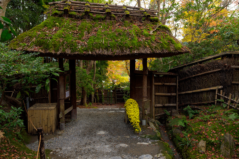 京都の紅葉2017 彩りの祇王寺_f0155048_23592016.jpg