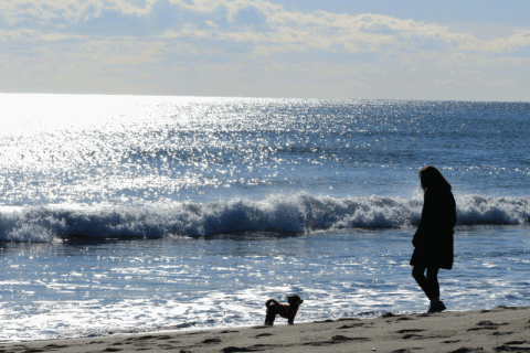 c0145250_10010004.gif
