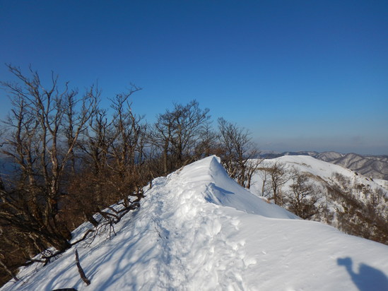 d0231858_17554160.jpg