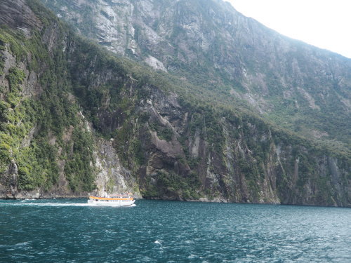 大迫力のユニークな地形！Fiordland National ParkでMilford Soundのクルージング ～NZバスの旅 18日目～_c0351060_01514371.jpg