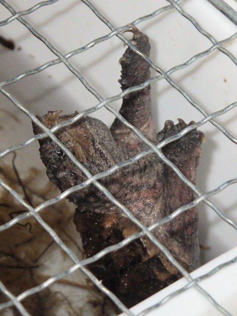 c0105569_00091918.jpg