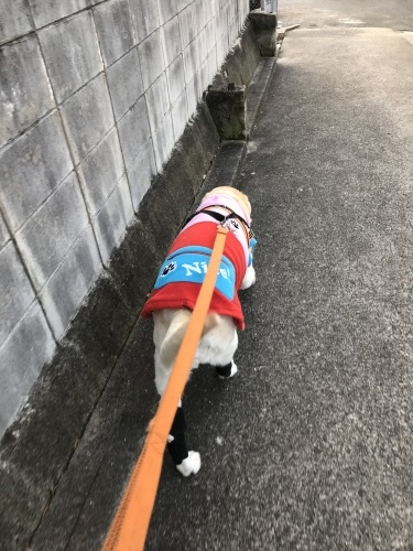 f0315081_17484208.jpeg