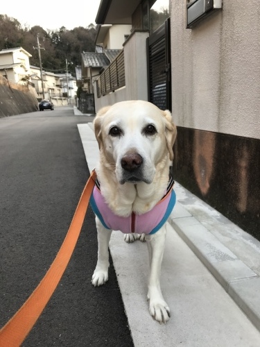 f0315081_17490280.jpeg