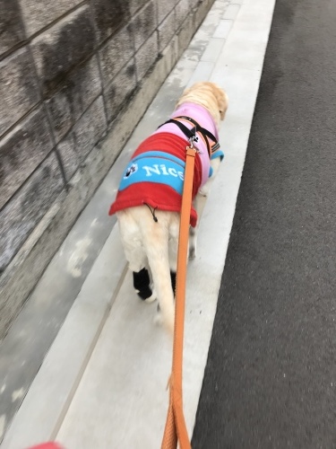 f0315081_17533700.jpeg