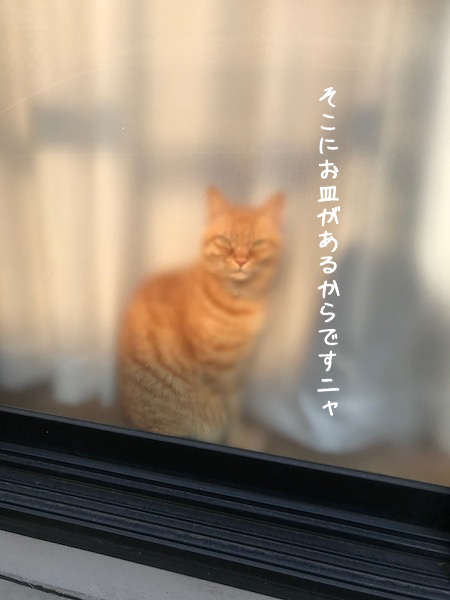 a0216583_09514100.png