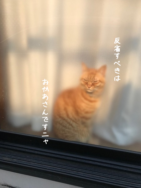 a0216583_09514341.png