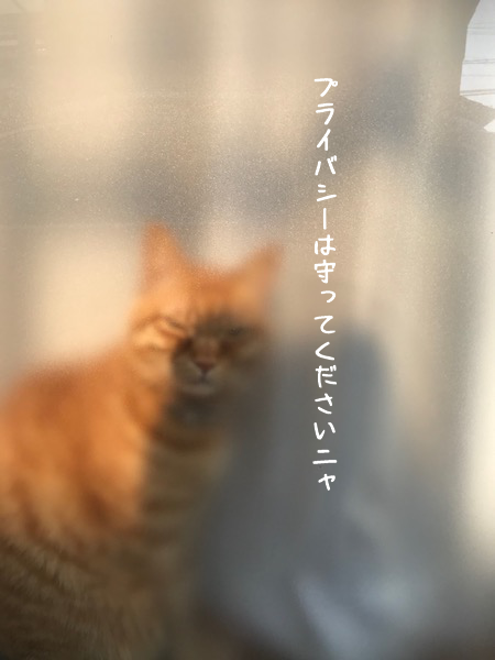 a0216583_09514649.png