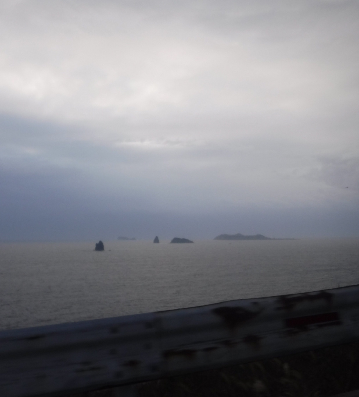 d0174683_20574278.jpeg
