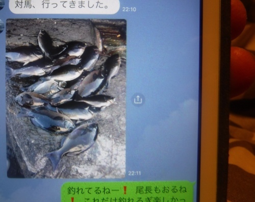 d0174683_20583025.jpeg