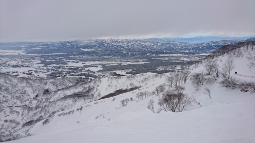 e0015490_20154723.jpg