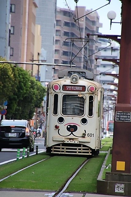 藤田八束の鉄道写真＠鹿児島の路面電車と美しい花たち、可愛い花に囲まれて鹿児島は一足早い春の訪れ_d0181492_22460209.jpg