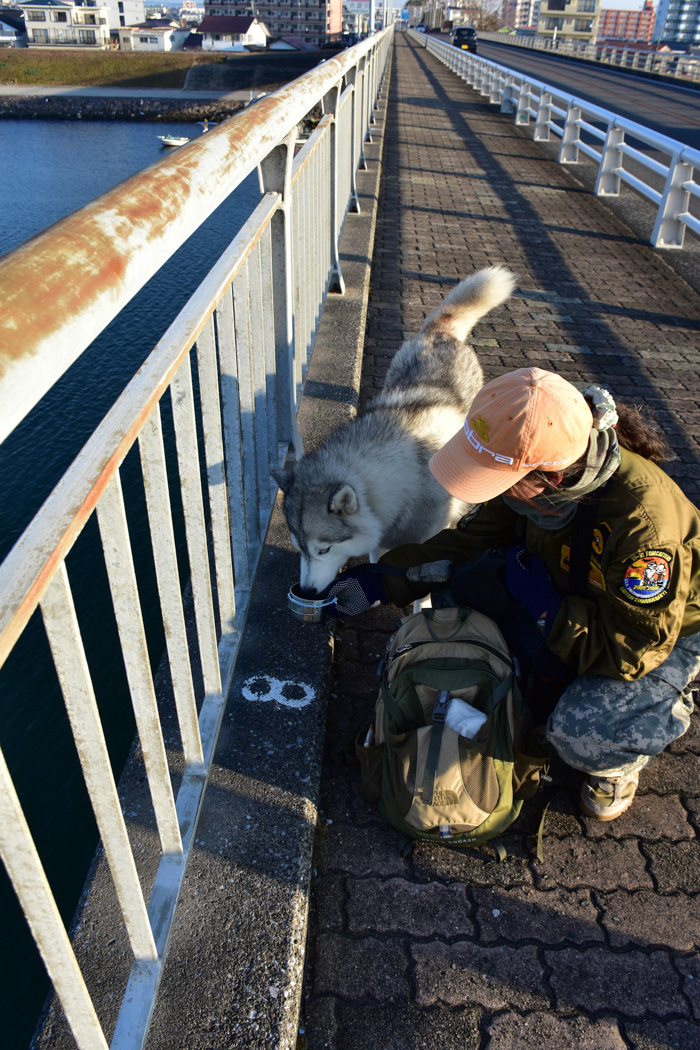 だって猫も鳥も好きだもん (^o^)_c0049299_21090306.jpg