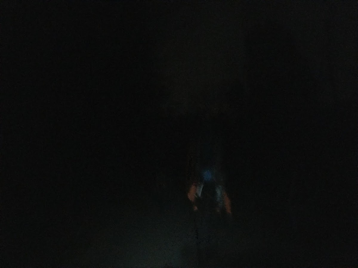 新春登山!!_d0237801_09484826.jpg