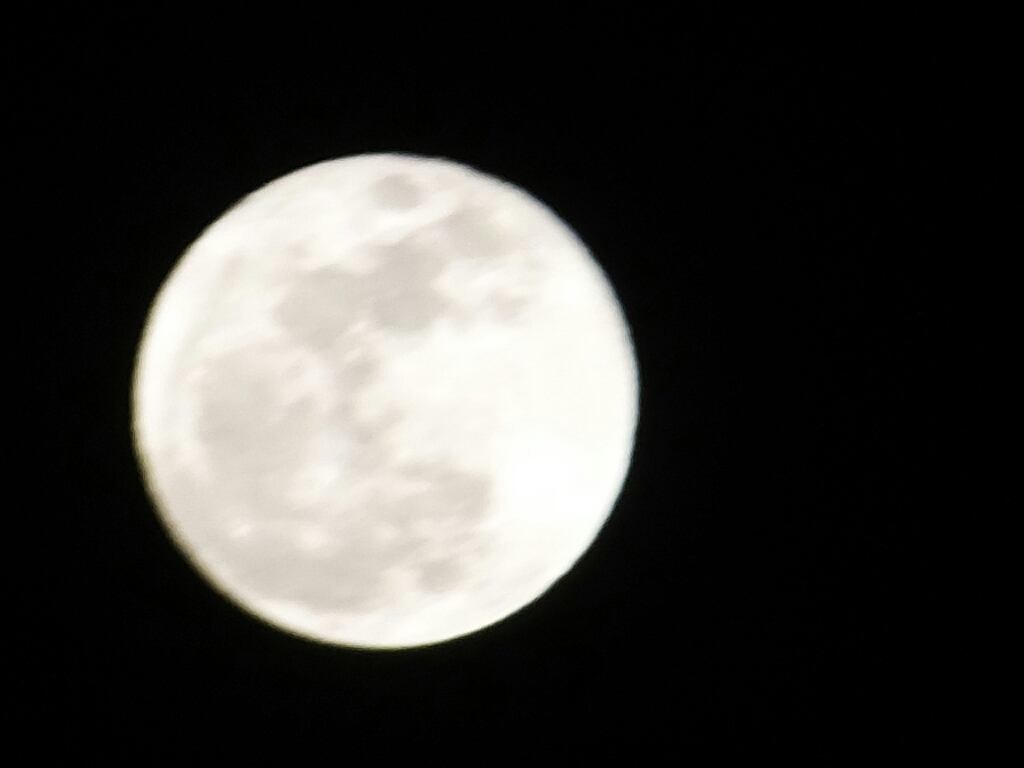 a0372902_16524282.jpg