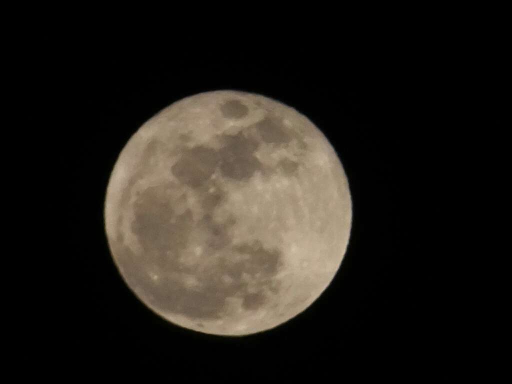 a0372902_16524417.jpg