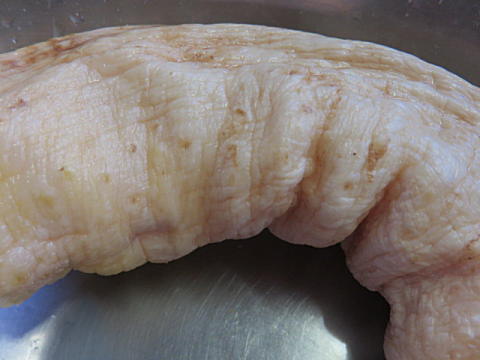 d0046702_11475404.jpg