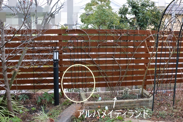 a0123003_17443576.jpg