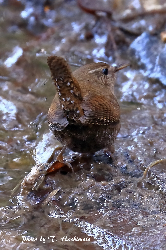 d0334006_16134795.jpg
