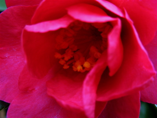 a0164011_23412793.jpg