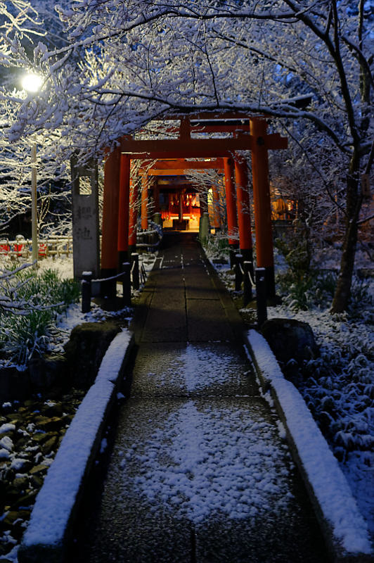 京都の雪景色2018＠平野神社_f0032011_20411232.jpg
