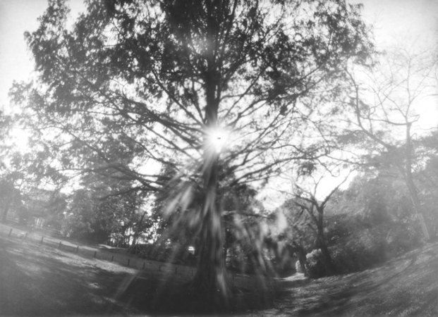 c0016712_15364028.jpg
