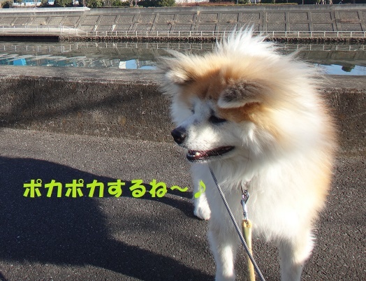 f0121712_08201445.jpg