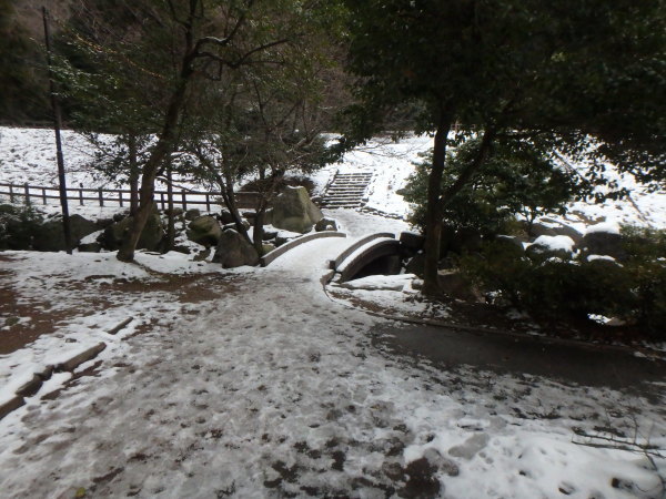 d0198313_20555037.jpg