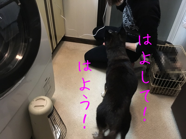 f0369014_10130667.png