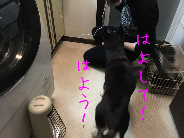 冬の楽しみ_f0369014_10130667.png