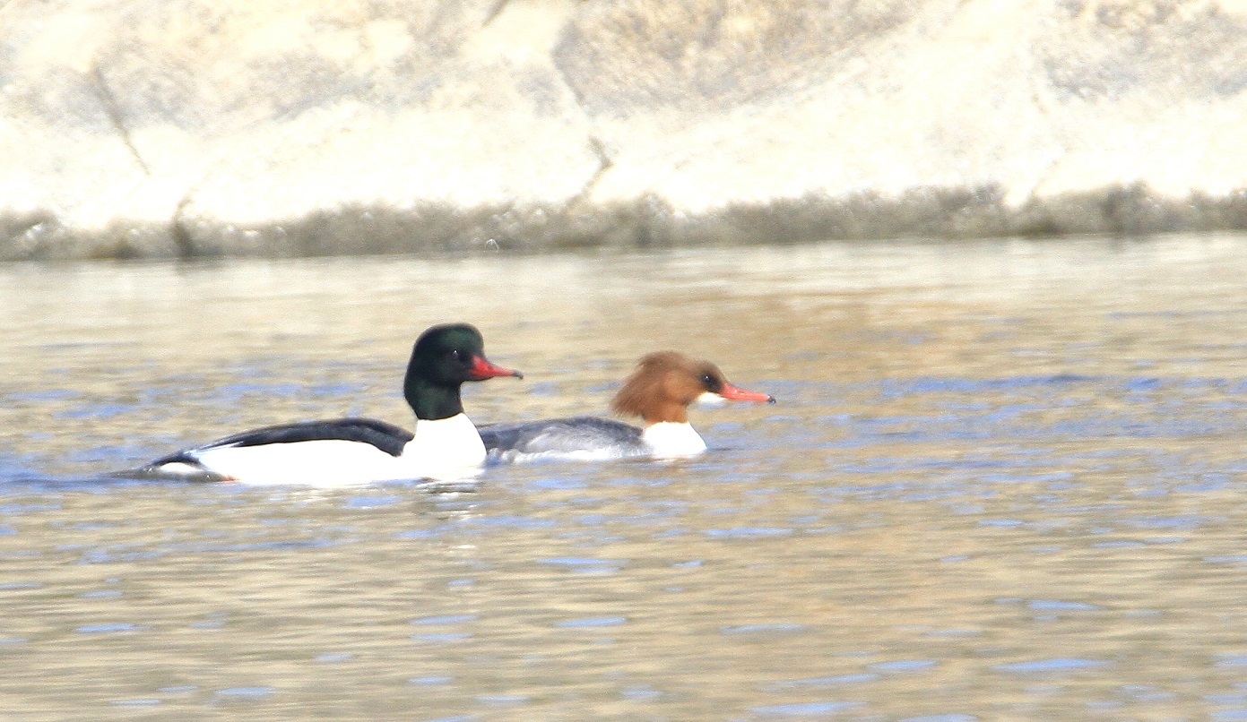 f0364220_11500381.jpg