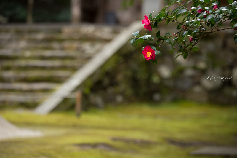 雨の週末_c0235725_21404149.jpg