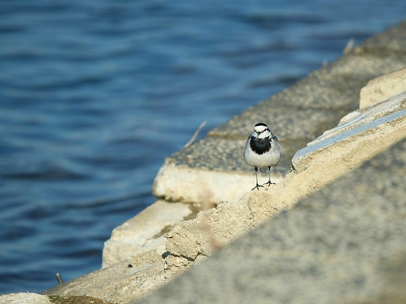 d0367529_21493819.jpg