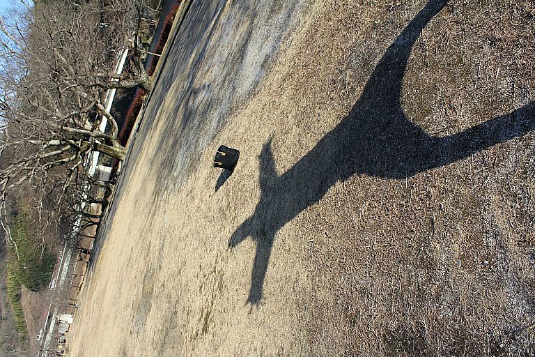 f0277234_20181289.jpg