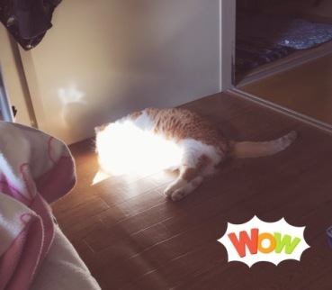 自分らしく幸暦を一歩ずつ_b0213435_15214997.jpg