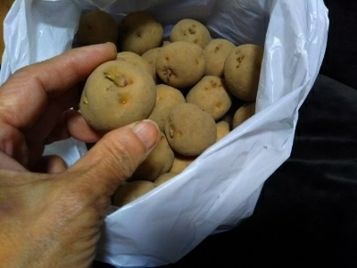 c0330749_17102012.jpg