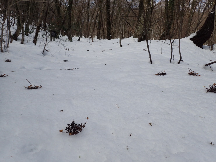 f0214649_06441393.jpg